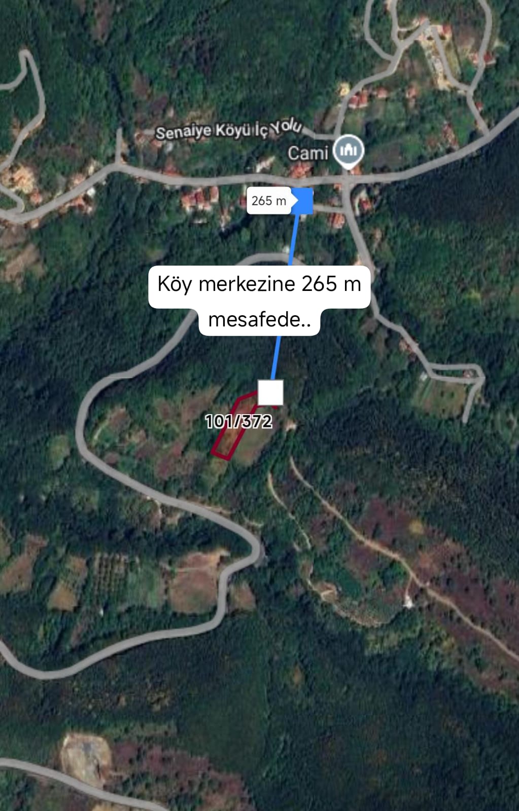 Fotoğraf